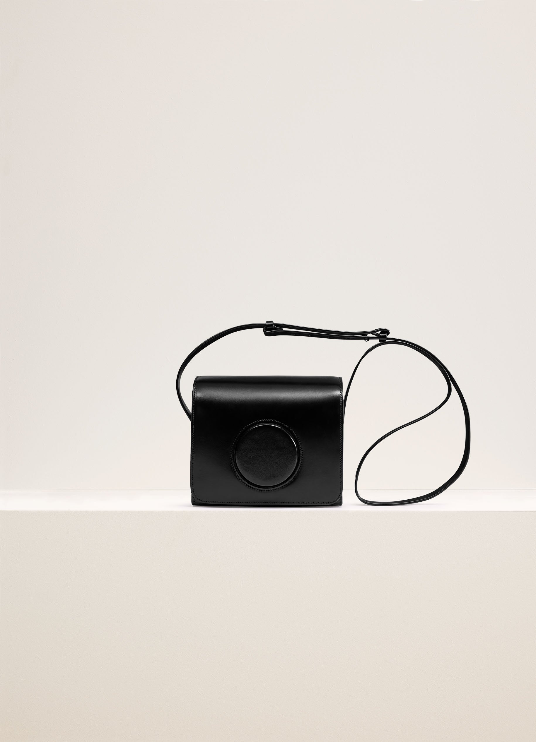 Lemaire camera 2025 bag sale